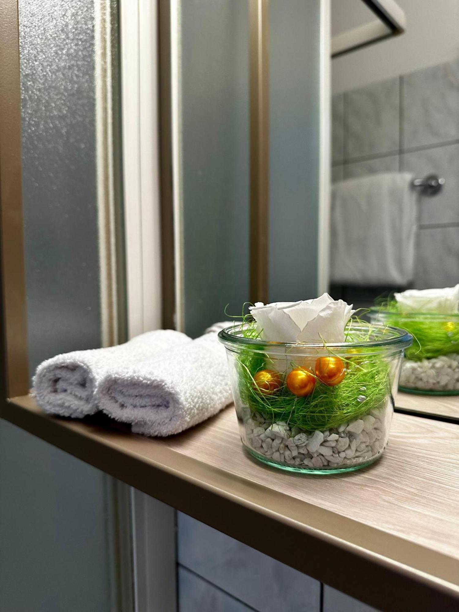 Hotel Nessi ロカルノ エクステリア 写真